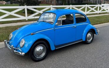 Volkswagen Beetle - Classic Coupe 1965