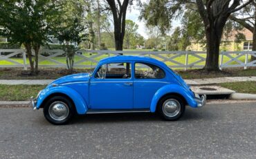 Volkswagen-Beetle-Classic-Coupe-1965-39