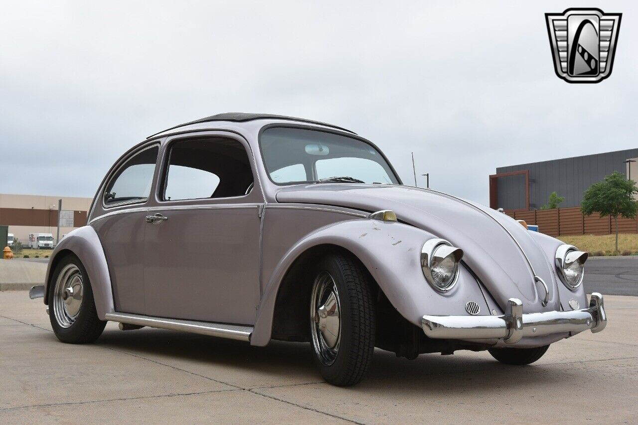 Volkswagen-Beetle-Classic-Coupe-1967-8