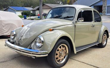 Volkswagen Beetle - Classic 1969