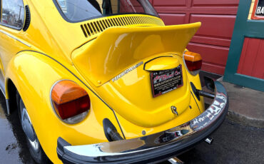 Volkswagen-Beetle-New-1974-11