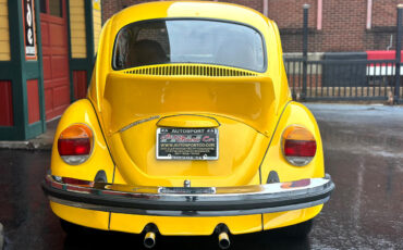 Volkswagen-Beetle-New-1974-3