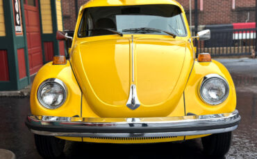 Volkswagen-Beetle-New-1974-9