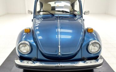 Volkswagen-Beetle-New-Cabriolet-1978-10