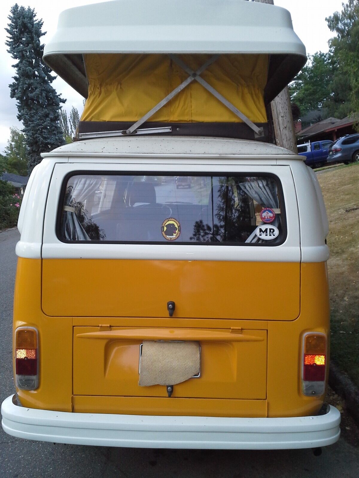 Volkswagen-BusVanagon-1976-4