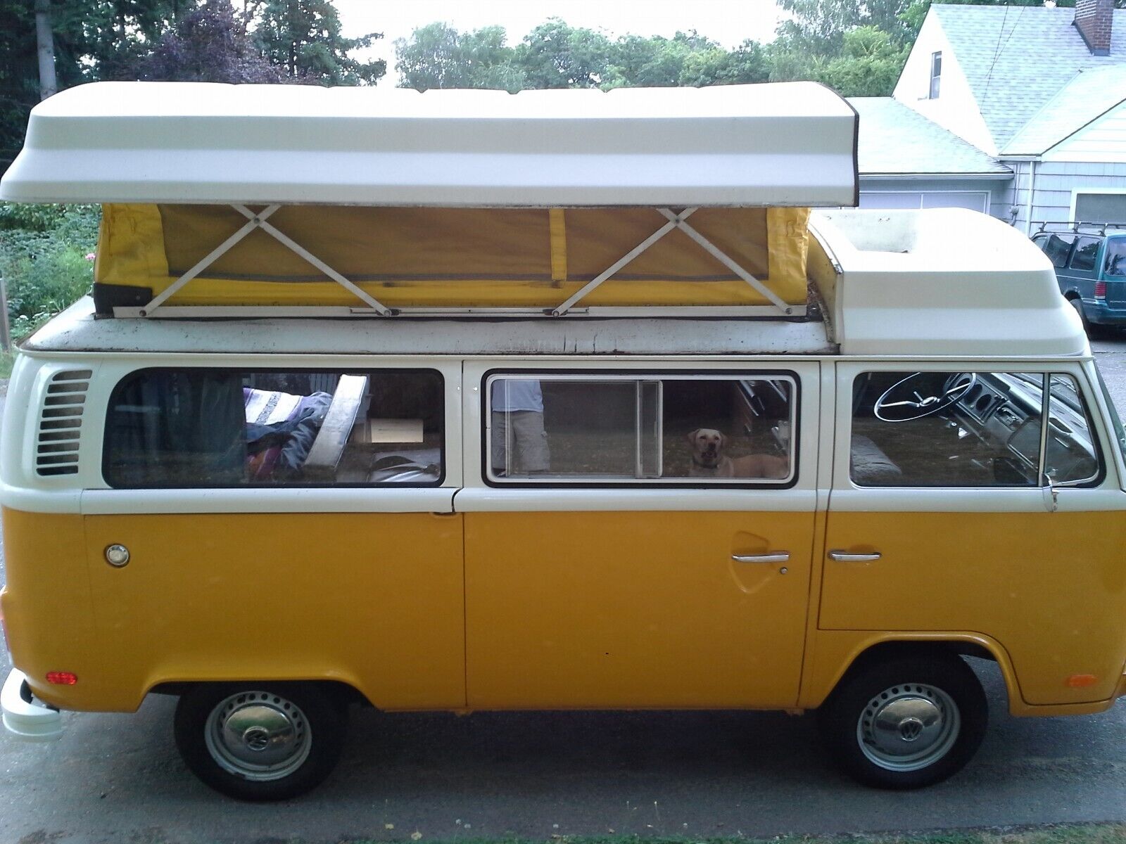 Volkswagen-BusVanagon-1976-5