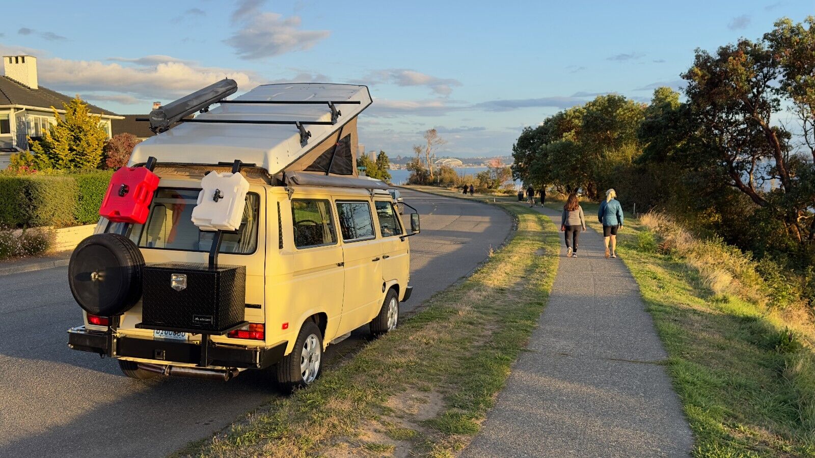 Volkswagen Bus/Vanagon  1981