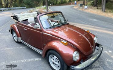 Volkswagen-Super-beetle-convertible-1978-13