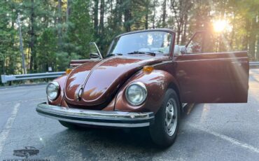 Volkswagen-Super-beetle-convertible-1978-15