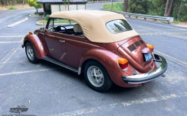 Volkswagen-Super-beetle-convertible-1978-2