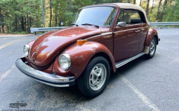 Volkswagen-Super-beetle-convertible-1978