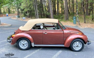 Volkswagen-Super-beetle-convertible-1978-4