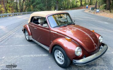 Volkswagen-Super-beetle-convertible-1978-5