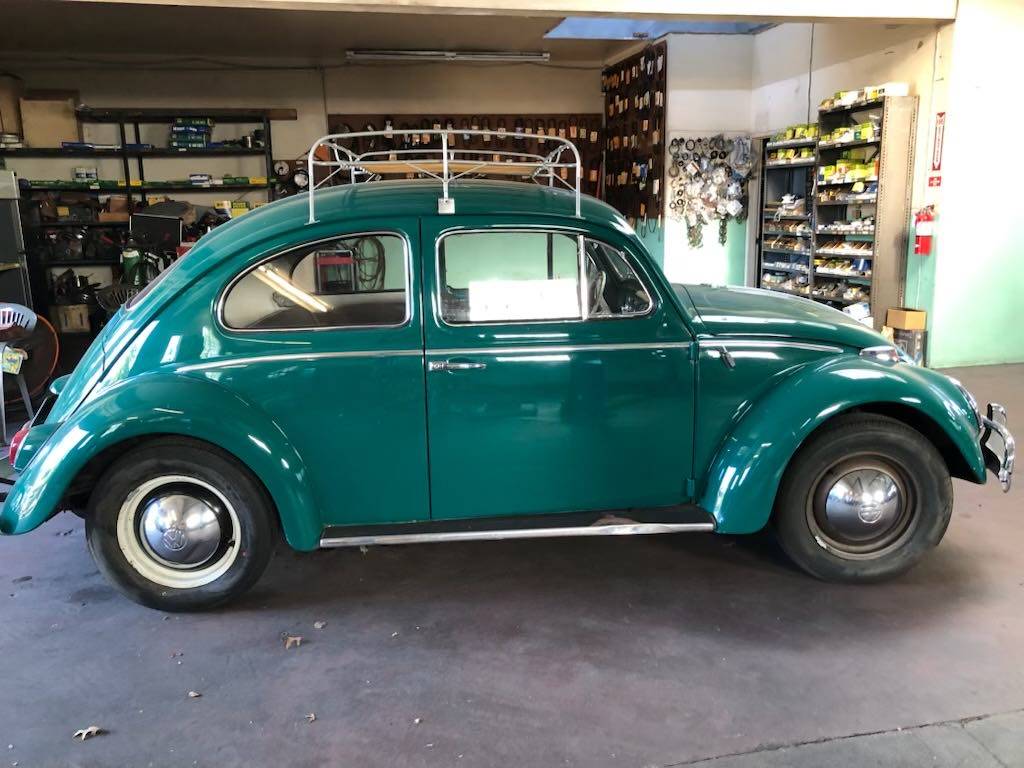 Volkswagen-Vw-beetle-1964-1