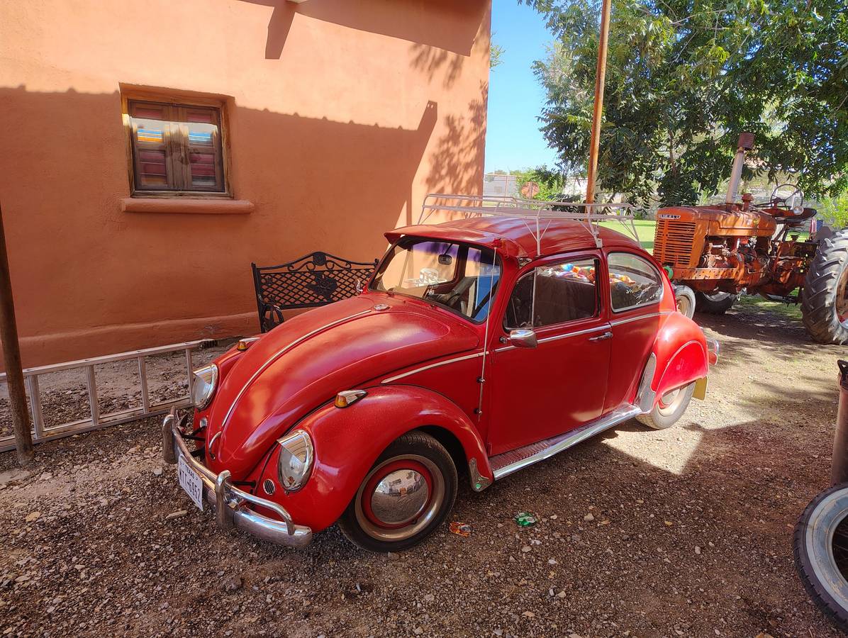 Volkswagen-Vw-beetle-1965-1