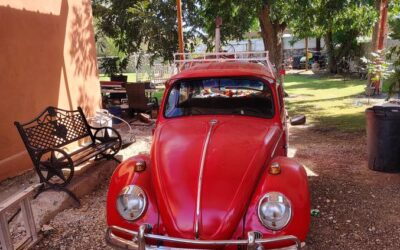 Volkswagen Vw beetle 1965