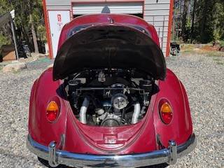 Volkswagen-Vw-beetle-1965