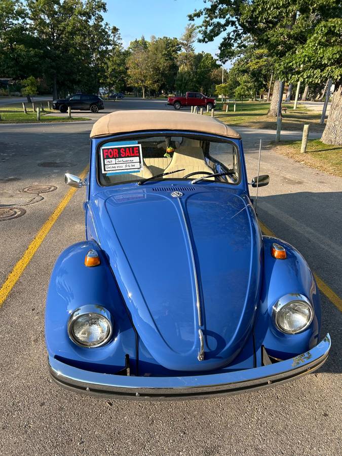 Volkswagen-Vw-beetle-1969-1