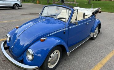 Volkswagen-Vw-beetle-1969-8