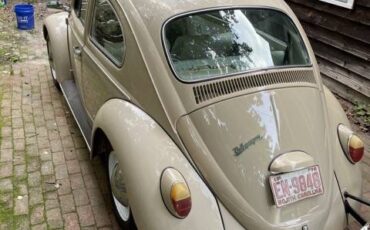 Volkswagen-Vw-beetle-1970-3