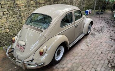 Volkswagen-Vw-beetle-1970-4