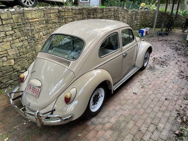 Volkswagen-Vw-beetle-1970-4