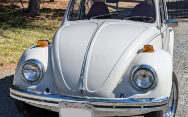 Volkswagen-Vw-beetle-1973-1