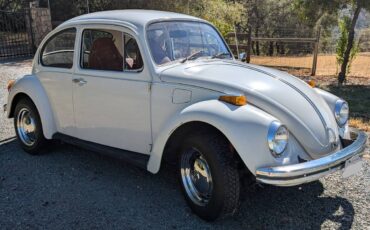 Volkswagen-Vw-beetle-1973-2