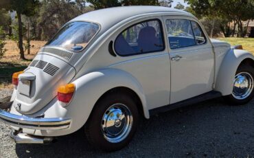 Volkswagen-Vw-beetle-1973-3