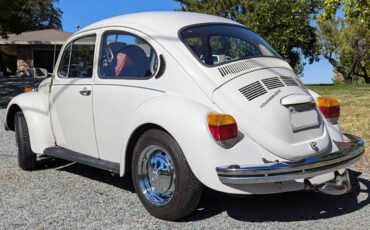 Volkswagen-Vw-beetle-1973-4