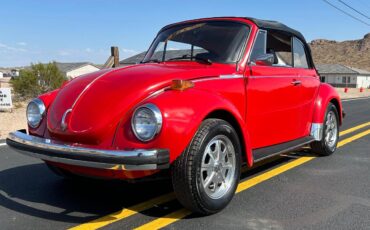 Volkswagen-Vw-beetle-bug-1975-2