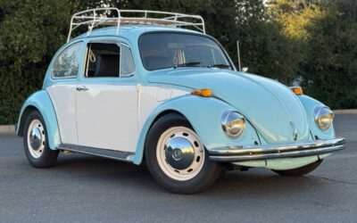 Volkswagen Vw bug 1969