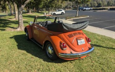 Volkswagen-Vw-bug-1970-10