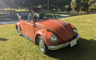 Volkswagen-Vw-bug-1970-6