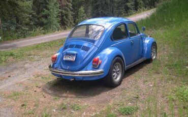 Volkswagen-Vw-super-beetle-1972-3