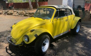 Volkswagen-Vw-super-beetle-convertible-1973-2