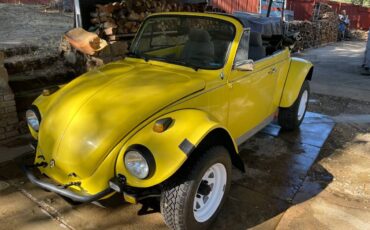 Volkswagen-Vw-super-beetle-convertible-1973