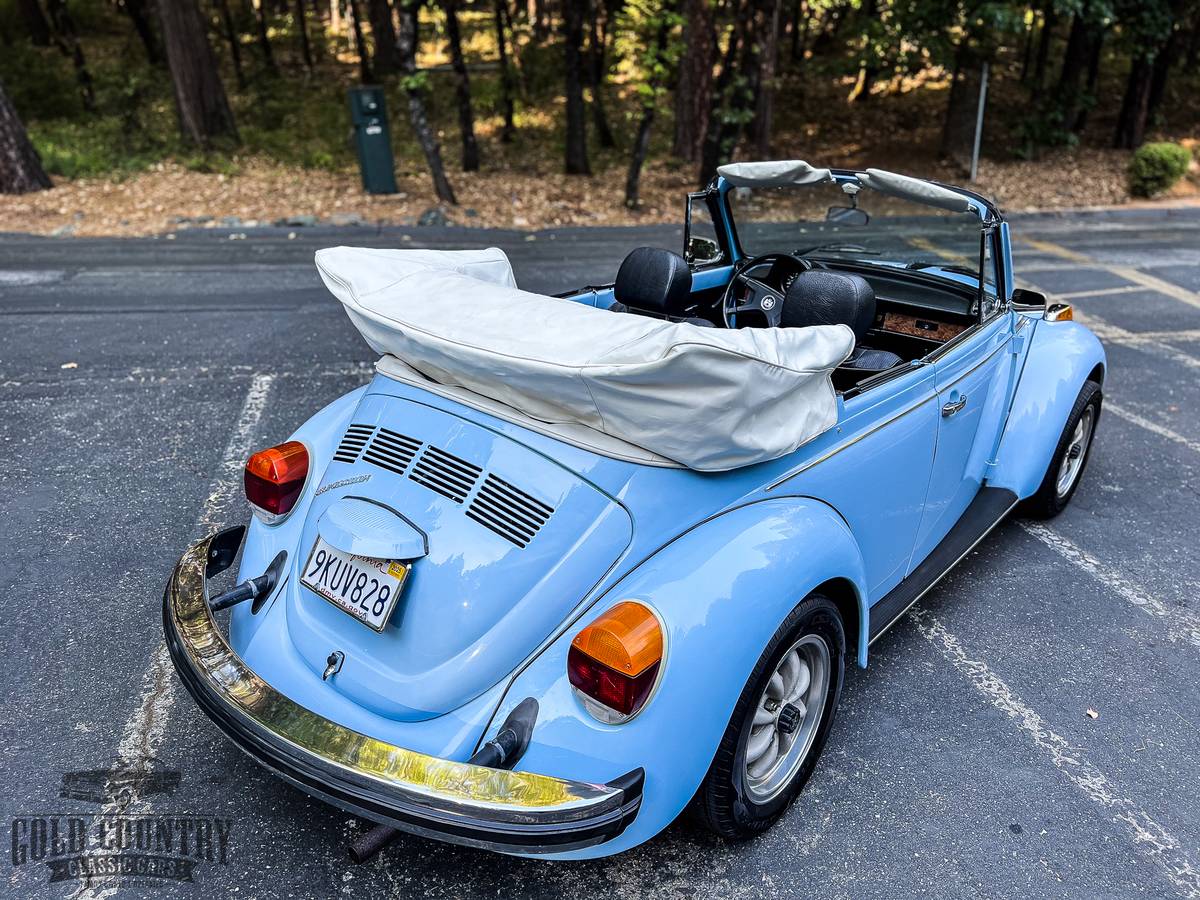 Volkswagen-Vw-super-beetle-convertible-1979-5