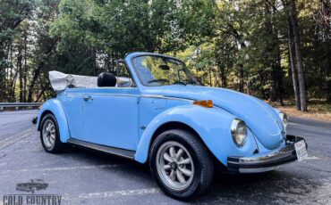 Volkswagen-Vw-super-beetle-convertible-1979-6