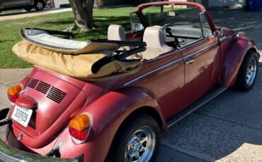 Volkswagen-Vw-superbeetle-1974-7