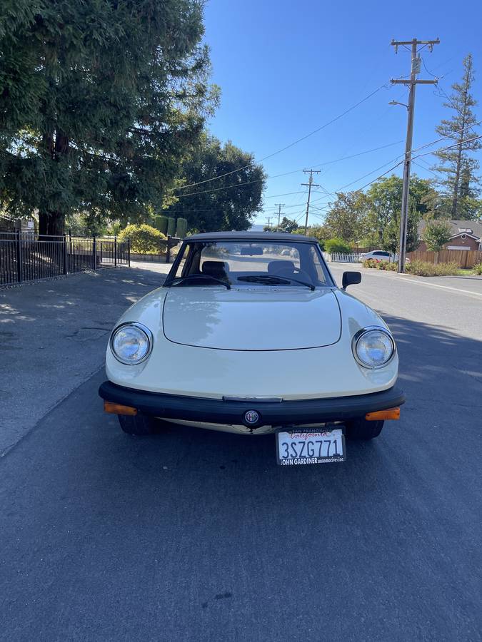 Alfa-romeo-Spider-1979-5