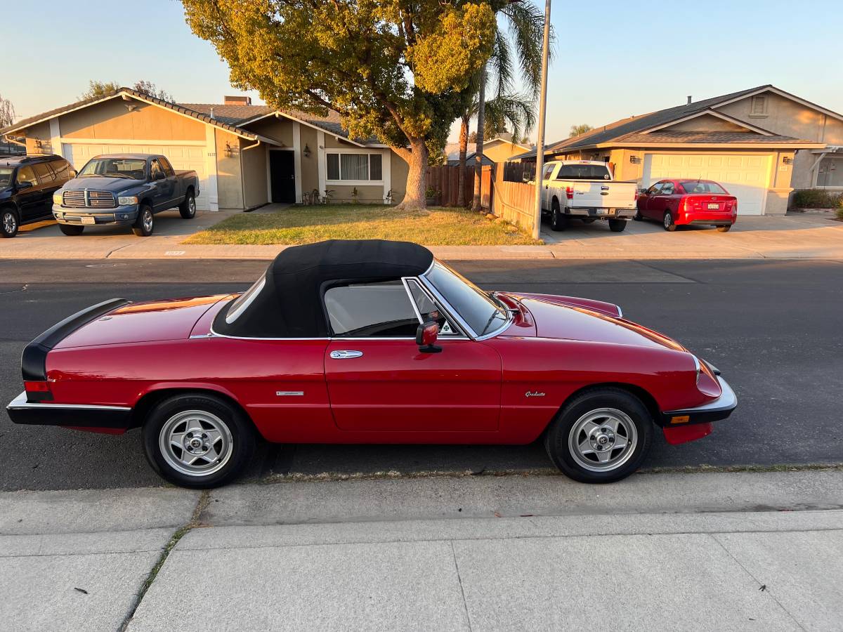 Alfa-romeo-Spider-1986-1