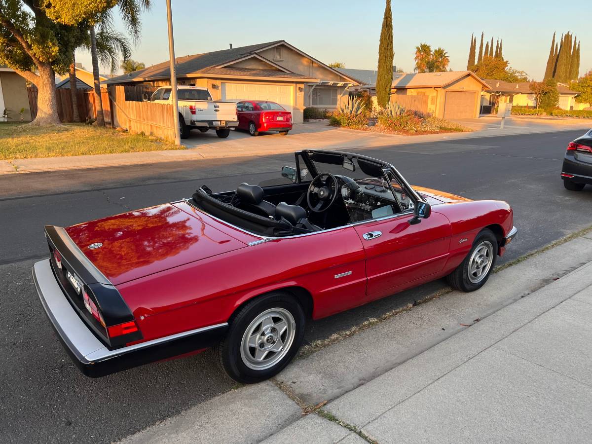 Alfa-romeo-Spider-1986-10