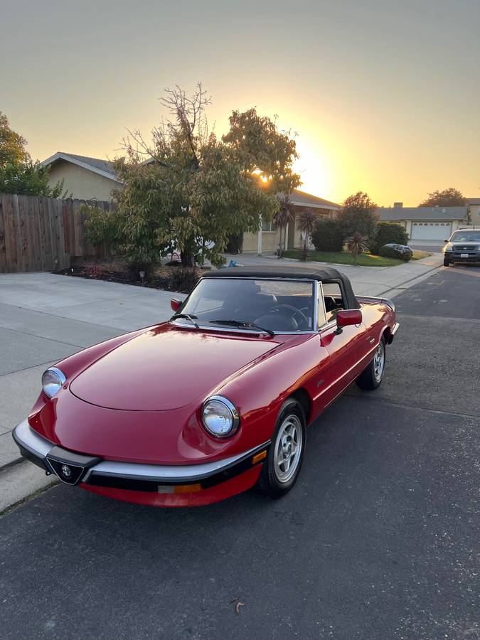 Alfa-romeo-Spider-1986-7