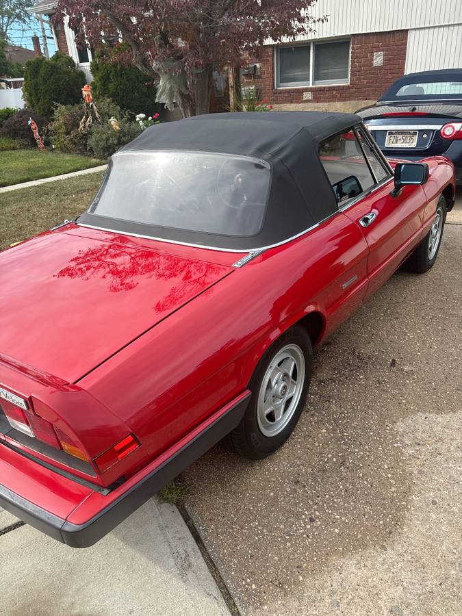 Alfa-romeo-Spider-veloce-1986-3