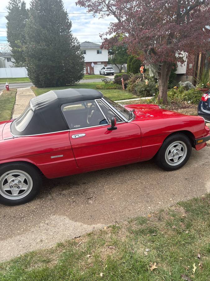 Alfa-romeo-Spider-veloce-1986-4