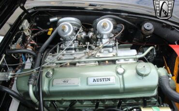 Austin-Healey-3000-1965-19