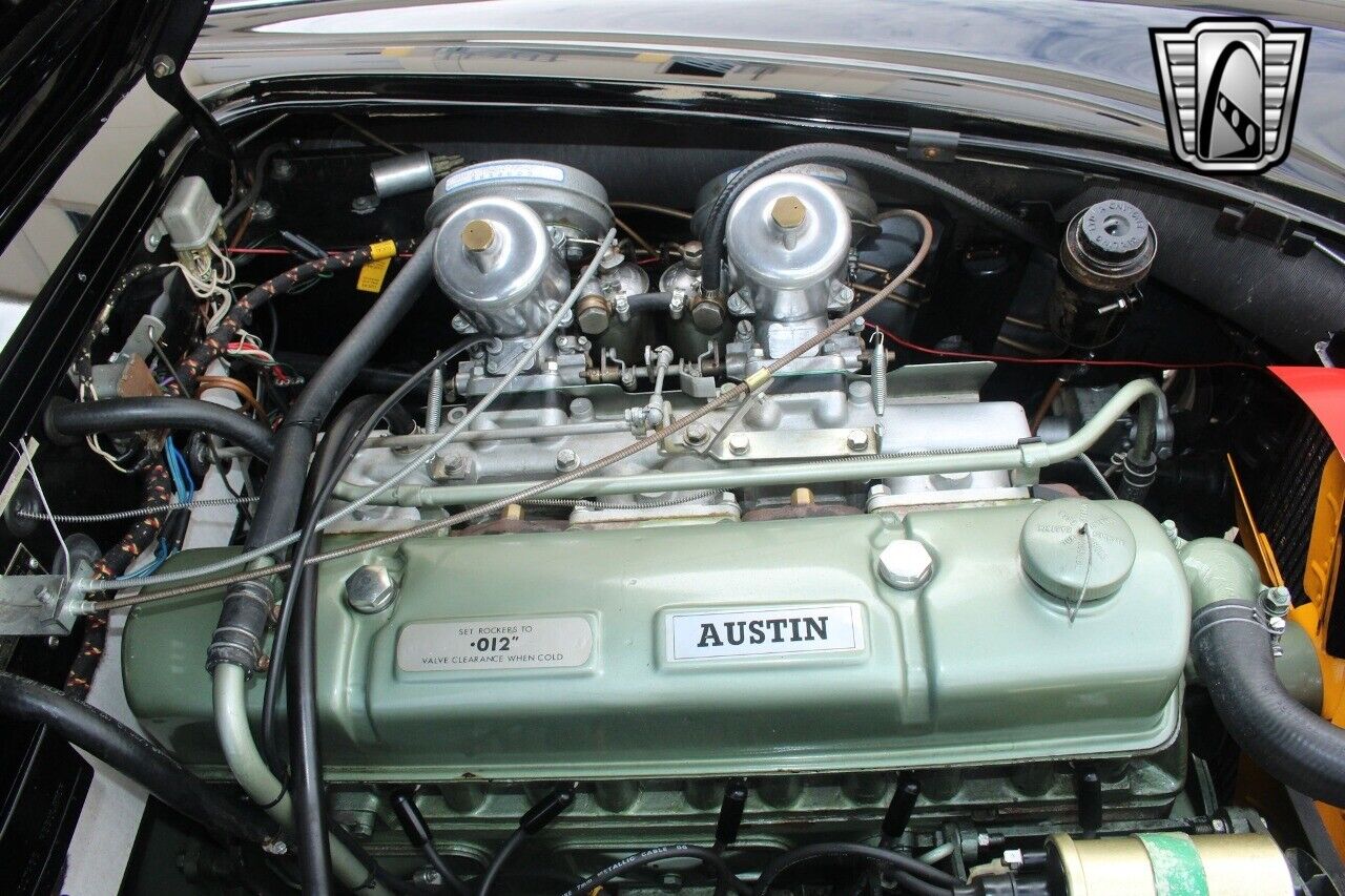 Austin-Healey-3000-1965-19