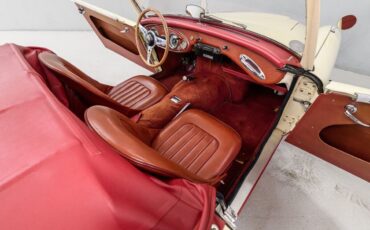 Austin-Healey-3000-Cabriolet-1960-11