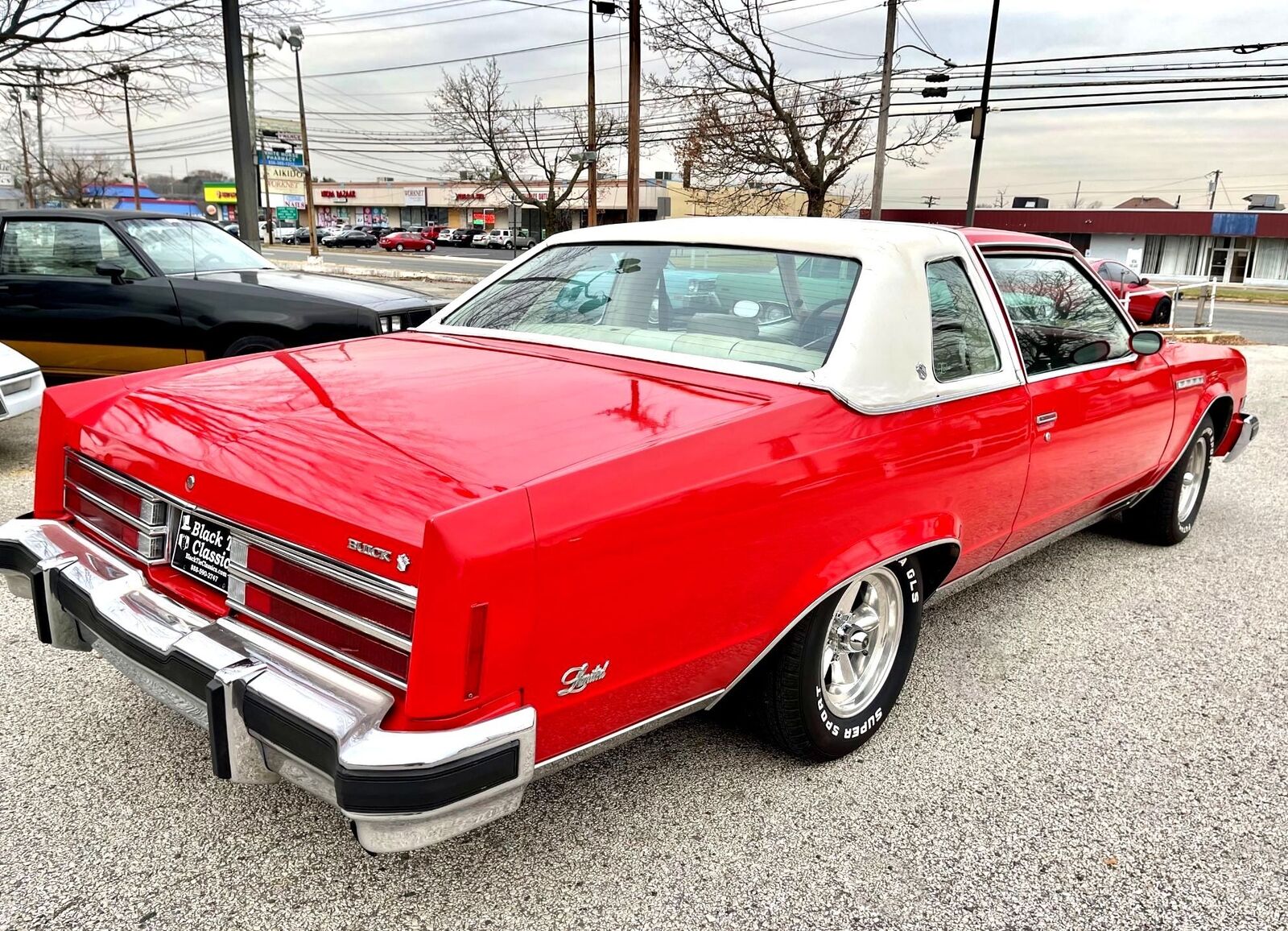 Buick-Electra-1977-7